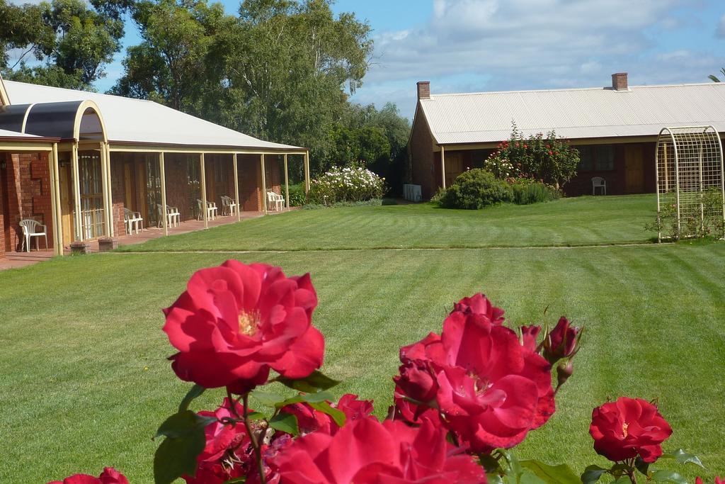 Motel Coonawarra Units Exterior foto