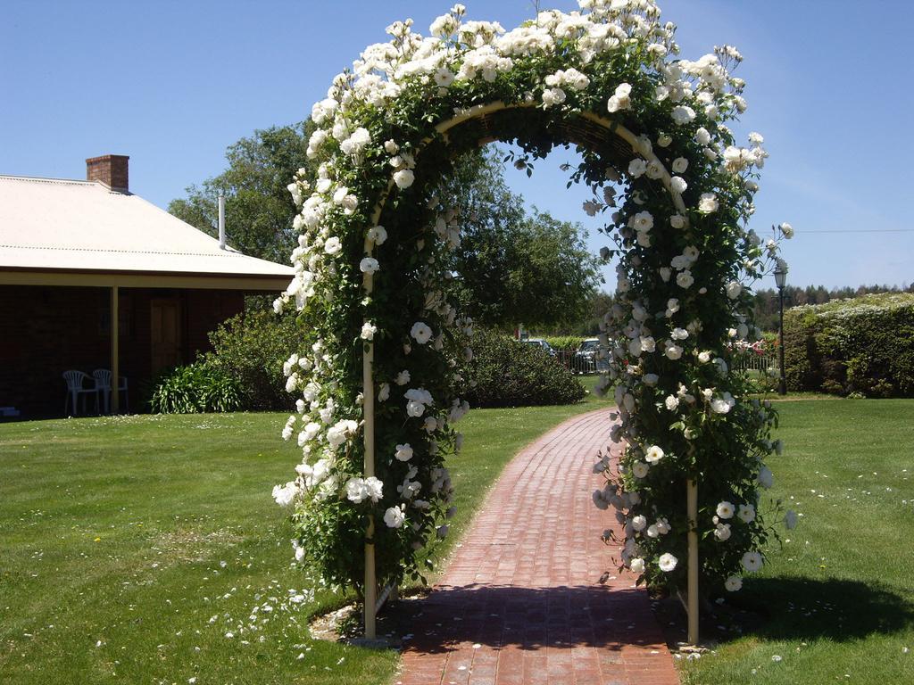 Motel Coonawarra Units Exterior foto