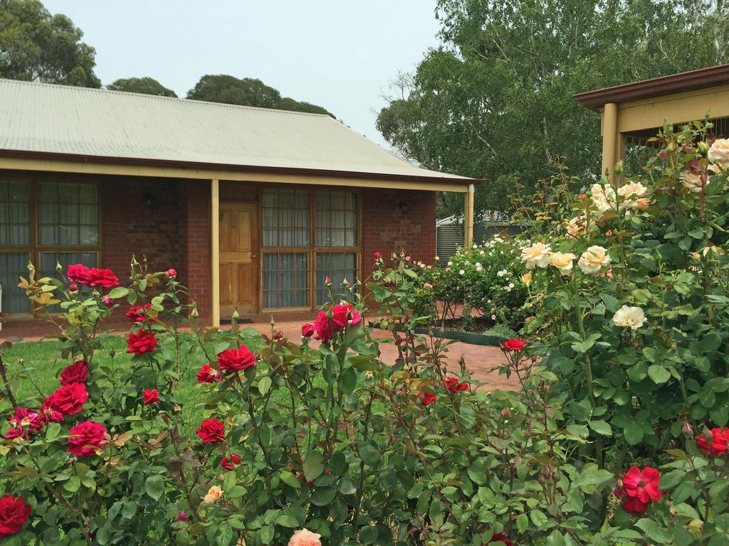 Motel Coonawarra Units Exterior foto
